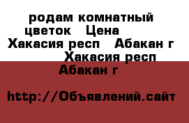 родам комнатный цветок › Цена ­ 250 - Хакасия респ., Абакан г.  »    . Хакасия респ.,Абакан г.